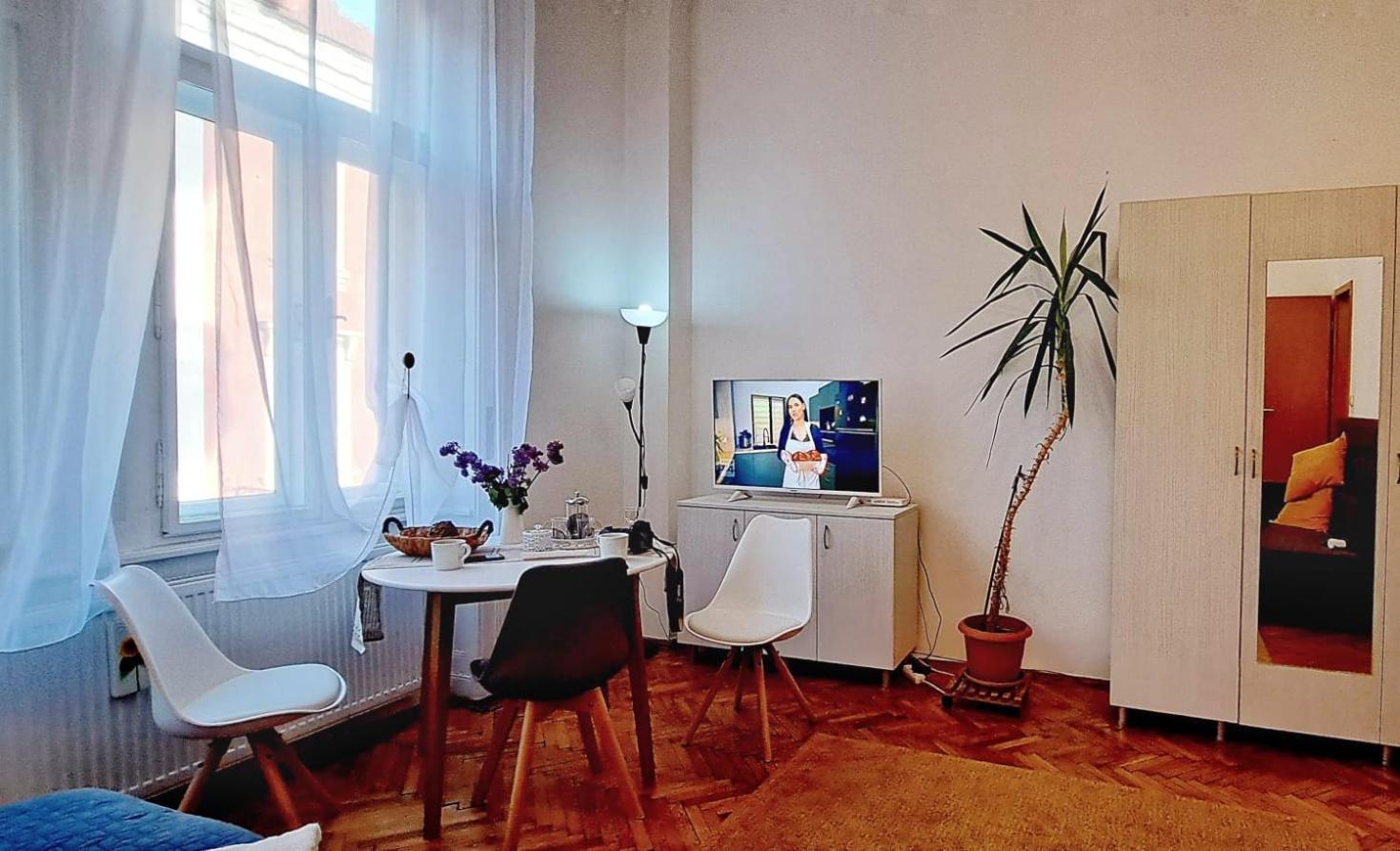 Travel And Music Apartment Timișoara Zewnętrze zdjęcie