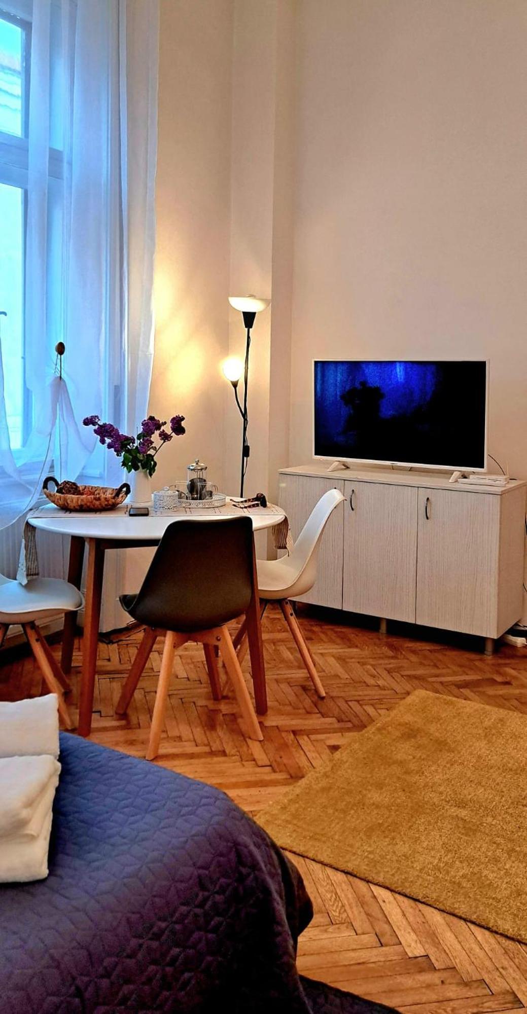 Travel And Music Apartment Timișoara Zewnętrze zdjęcie